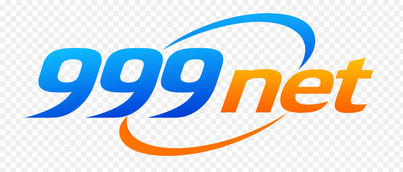 999net
